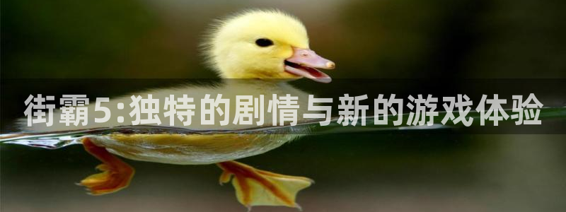 作者bg大游子：街霸5:独特的剧情与新的游戏体验