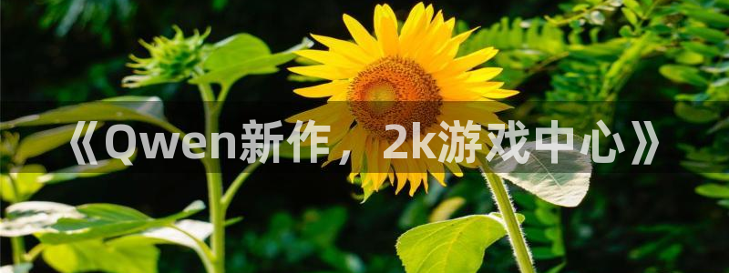 陕西bg大游子文化创意是干什么的：《Qwen新作，2k游戏中心》