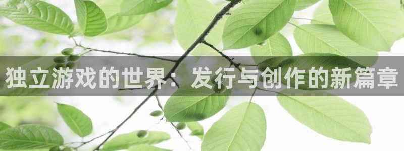 bg大游官网注册地址在哪里查：独立游戏的世界：发行与创作的新篇章
