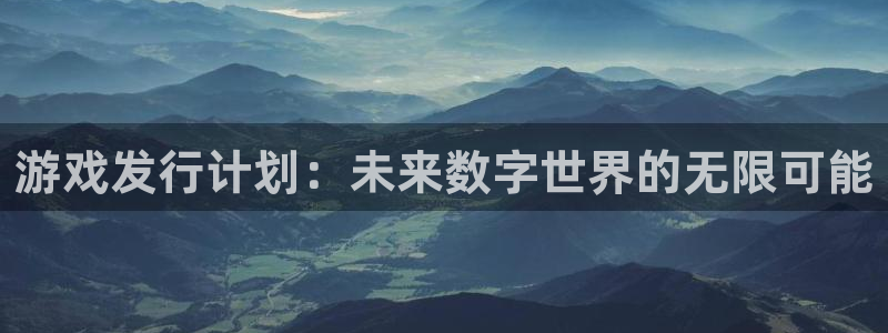 bg大游官网注册平台是什么：游戏发行计划：未来数字世界的无限可能