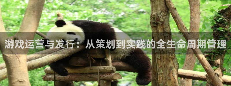 bg大游品牌策划团队介绍：游戏运营与发行：从策划到实践的全生命周期管理