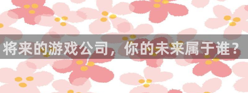 bg大游官网注册平台怎么注册账号：将来的游戏公司，你的未来属于谁？