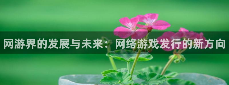 bg大游运动装有哪些品牌：网游界的发展与未来：网络游戏发行的新方向