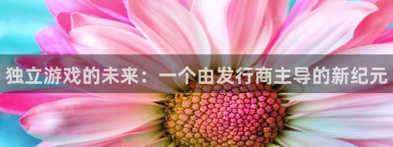 广州bg大游网络科技有限公司怎么样：独立游戏的未来：一个由发行商主导的新纪元