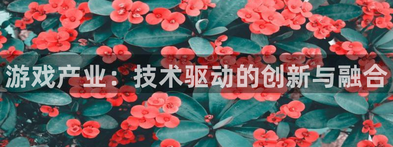 bg大游集团有限公司
