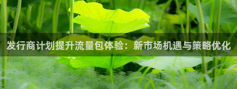 bg大游装饰