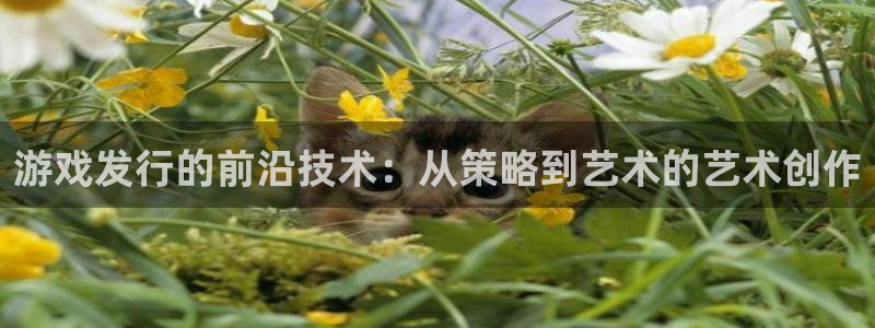 陕西bg大游子文化创意是什么