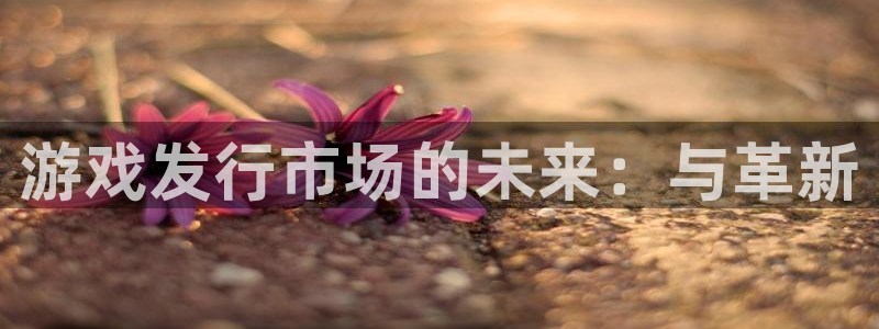 bg大游官网代理注册不了：游戏发行市场的未来：与革新