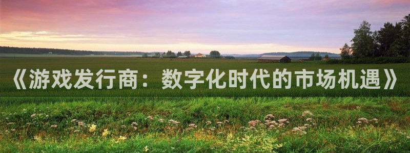 法国bg大游官网