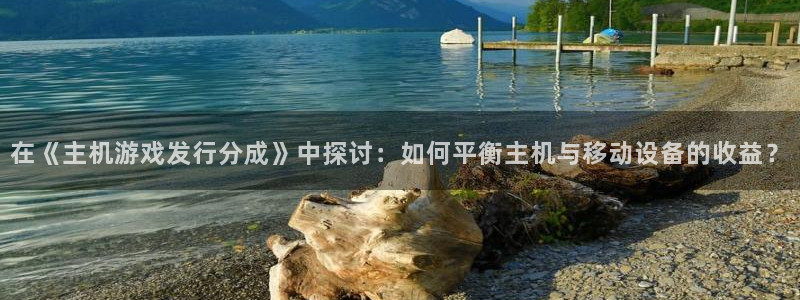 bg大游主管：在《主机游戏发行分成》中探讨：如何平衡主机与移动设备的收益？