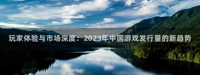 bg大游男装品牌：玩家体验与市场深度：2023年中国游戏发行量的新趋势