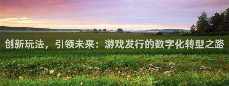 四川bg大游科技有限公司招聘：创新玩法，引领未来：游戏发行的数字化转型之路