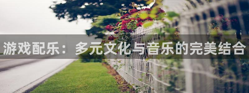 陕西bg大游子文化公司加我qq