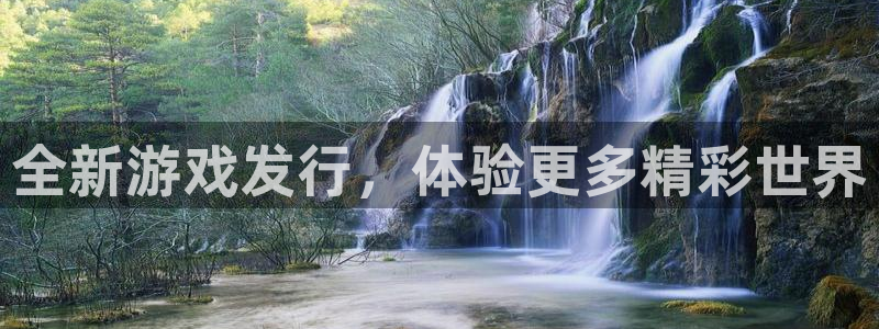 bg大游是什么