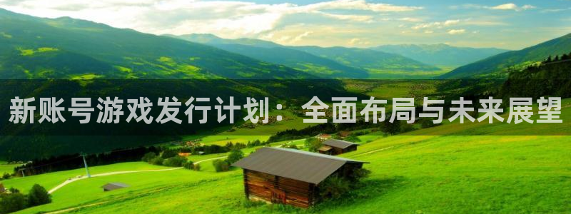 bg大游子 到底怎么样