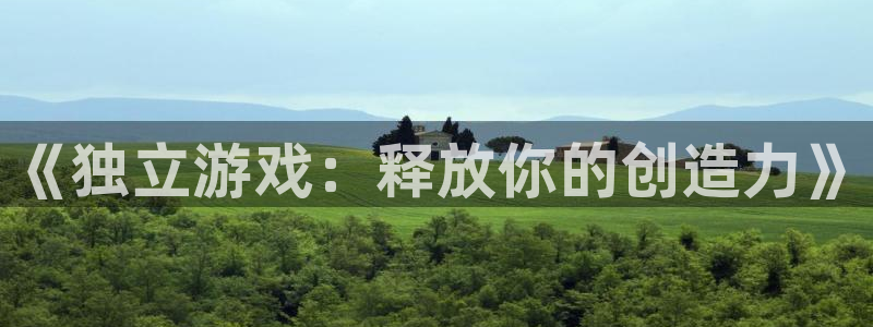 bg大游技术有限公司