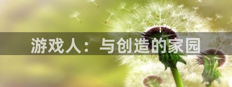bg大游子怎么样