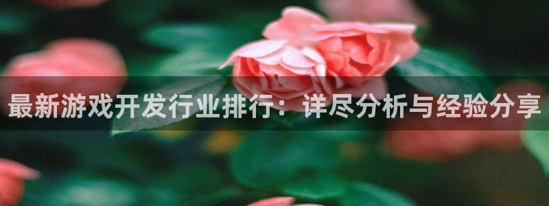 bg大游子图书